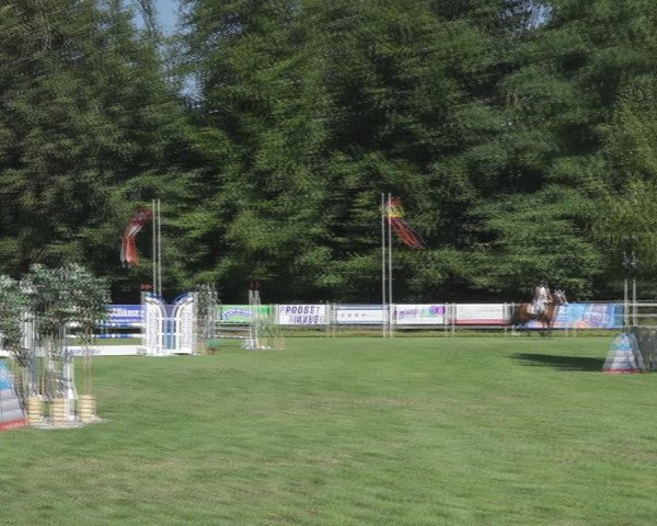 Reitturnier Kappelen-Lyss 2020