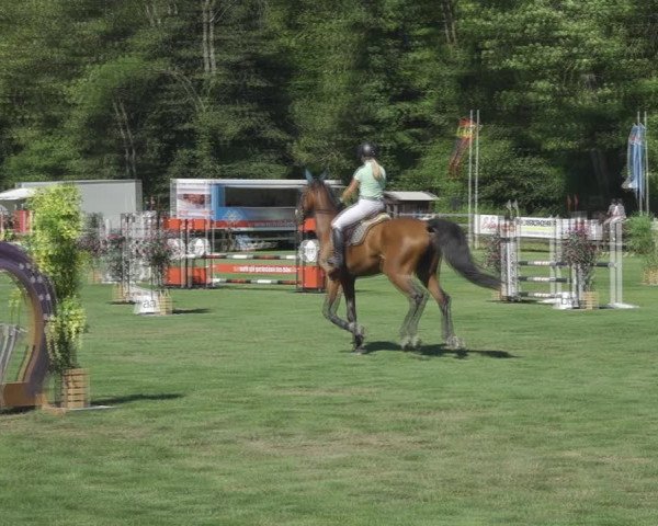 Reitturnier Kappelen-Lyss 2020