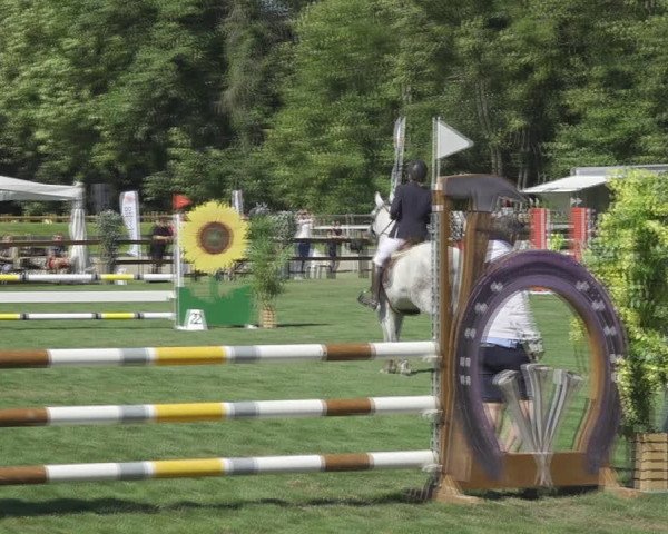 Reitturnier Kappelen-Lyss 2020