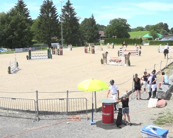 Reitturnier Fehraltorf 2020