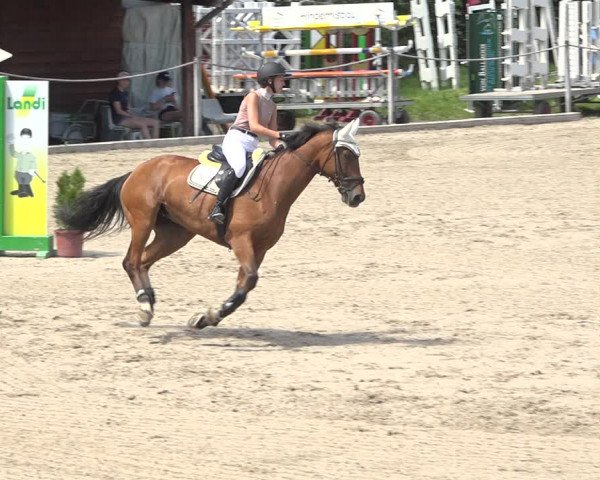 Reitturnier Fehraltorf 2020