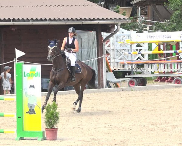 Reitturnier Fehraltorf 2020