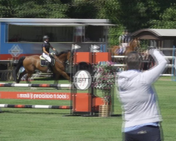 Reitturnier Kappelen-Lyss 2020