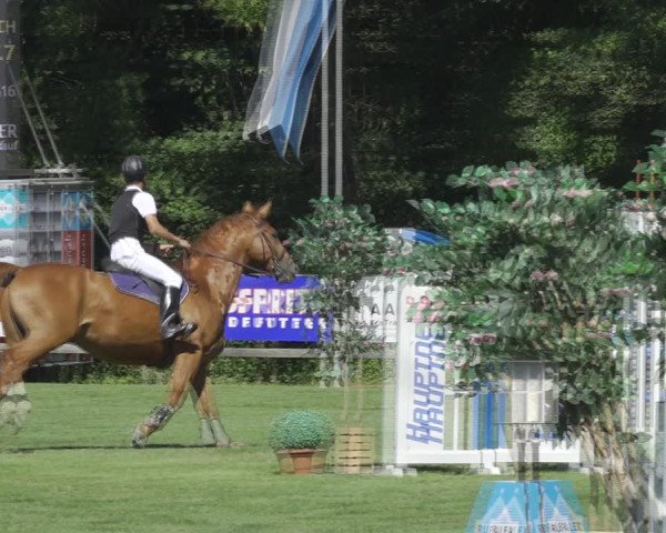 Reitturnier Kappelen-Lyss 2020