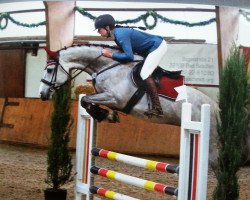 jumper Ciouvette (Holsteiner, 2010, from Clarimo Ask)