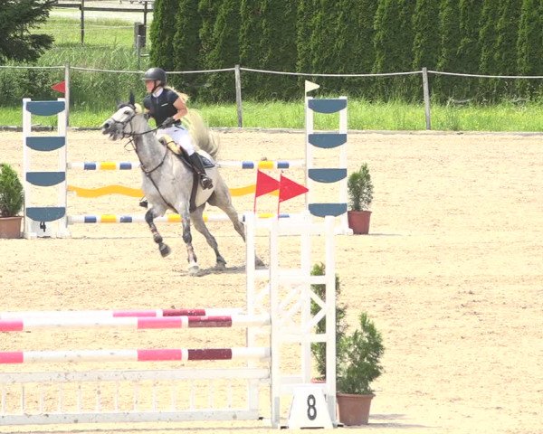 Reitturnier Fehraltorf 2020