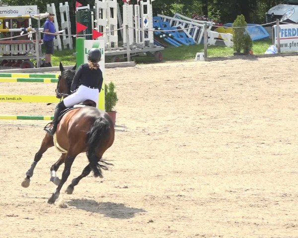 Reitturnier Fehraltorf 2020