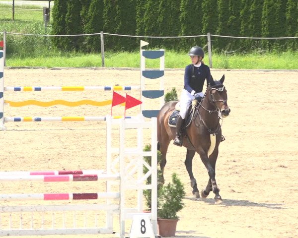 Reitturnier Fehraltorf 2020