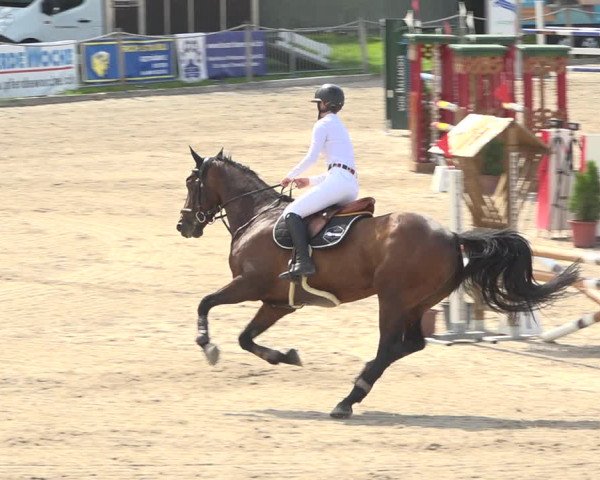 Reitturnier Fehraltorf 2020