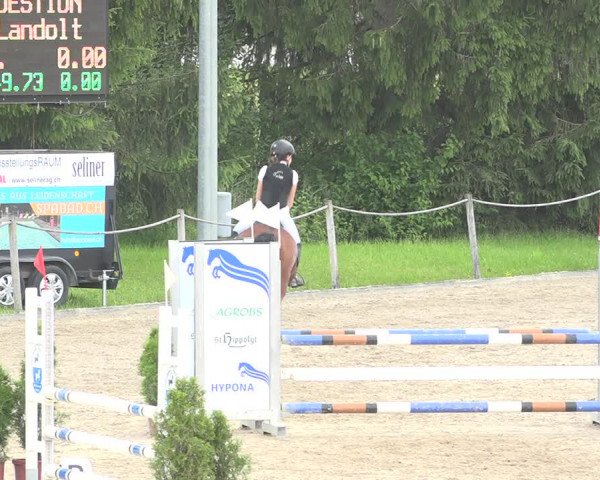 Reitturnier Fehraltorf 2020