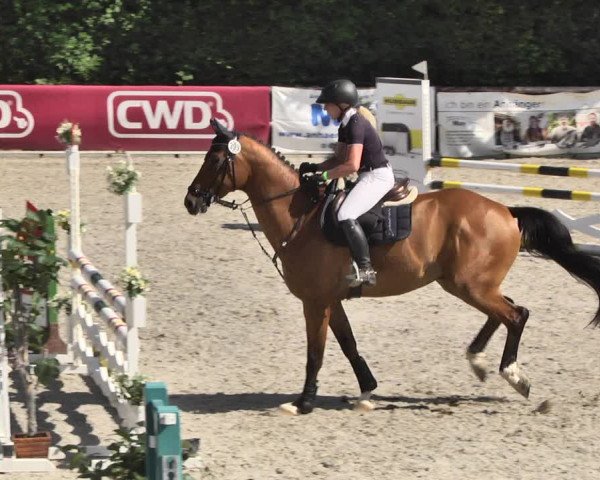 Reitturnier Worms-Pfeddersheim / Reitsportanlage Wittemer 2020