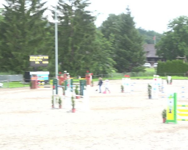 Reitturnier Fehraltorf 2020