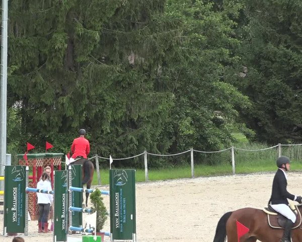 Reitturnier Fehraltorf 2020