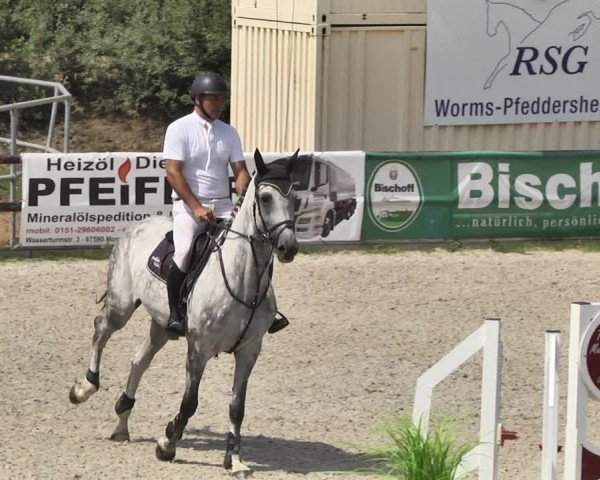 Reitturnier Worms-Pfeddersheim / Reitsportanlage Wittemer 2020