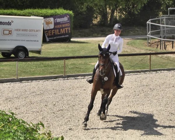 Reitturnier Worms-Pfeddersheim / Reitsportanlage Wittemer 2020