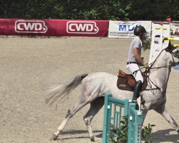 Reitturnier Worms-Pfeddersheim / Reitsportanlage Wittemer 2020
