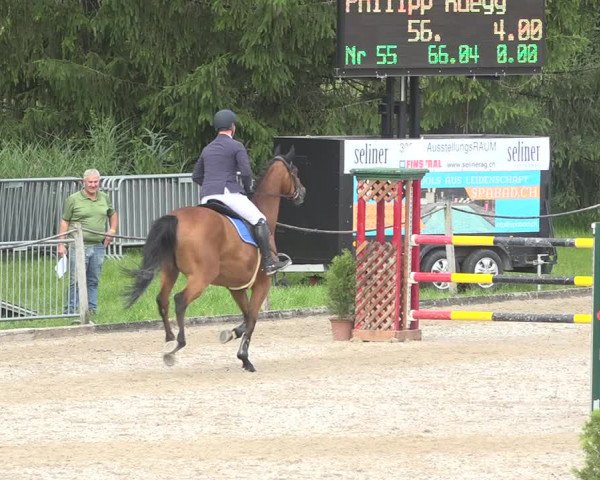 Reitturnier Fehraltorf 2020