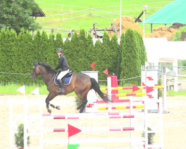 Reitturnier Fehraltorf 2020