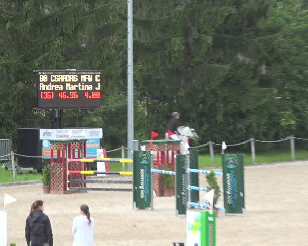 Reitturnier Fehraltorf 2020