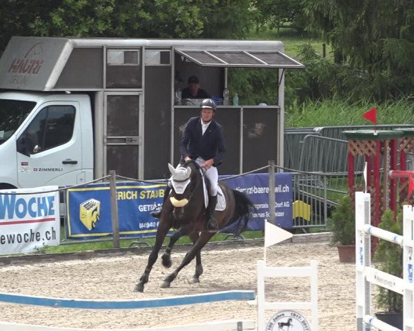 Reitturnier Fehraltorf 2020