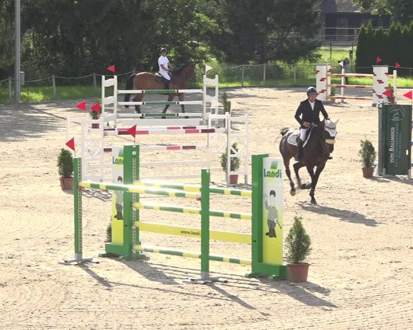 Reitturnier Fehraltorf 2020