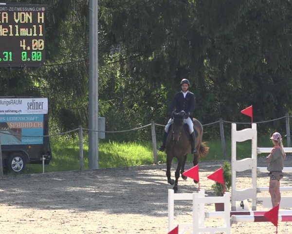 Reitturnier Fehraltorf 2020