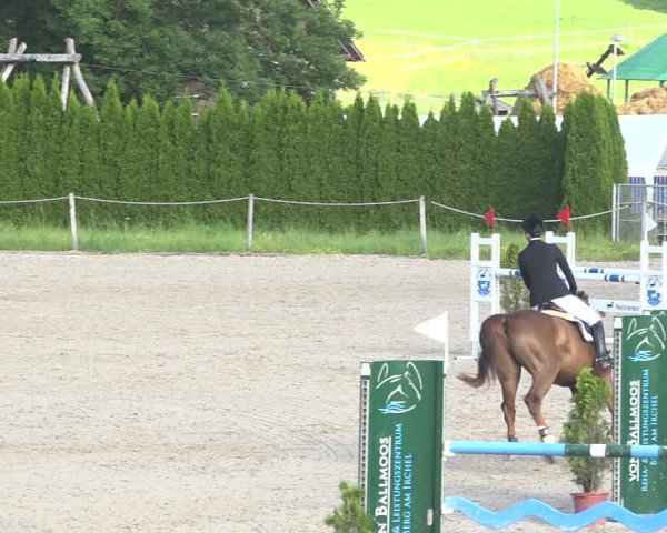 Reitturnier Fehraltorf 2020