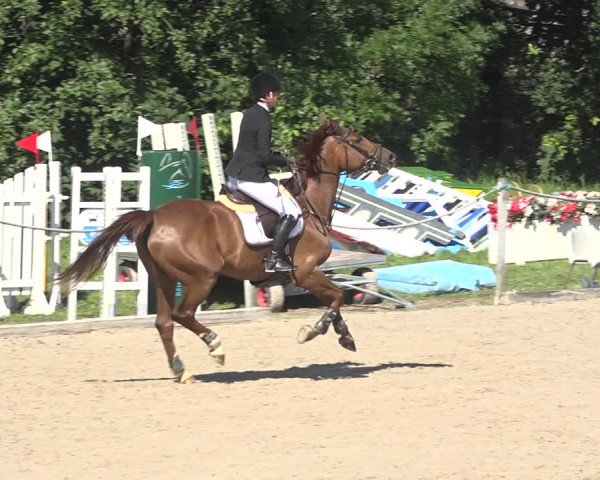 Reitturnier Fehraltorf 2020