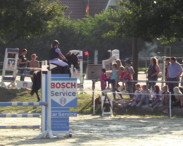 Reitturnier Ascheberg 2021