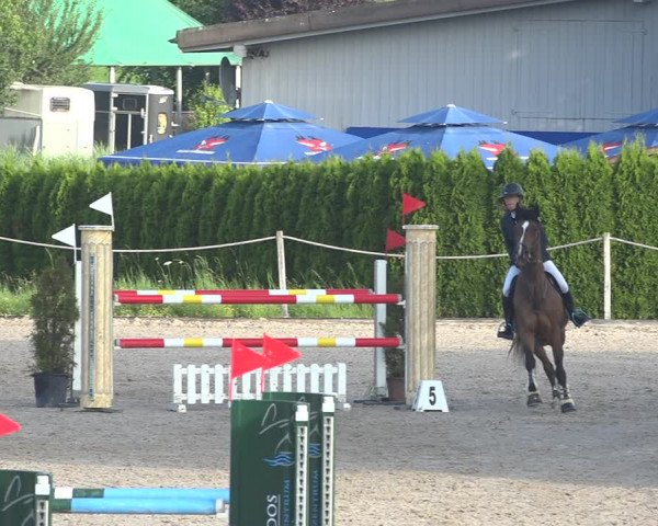 Reitturnier Fehraltorf 2020