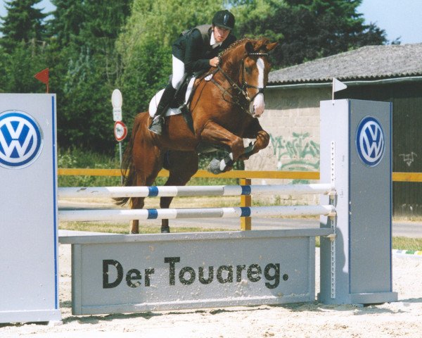 jumper Gigant (Westphalian, 2000, from Giorgio)