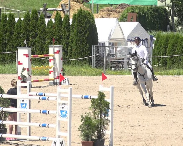Reitturnier Fehraltorf 2020