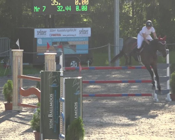 Reitturnier Fehraltorf 2020