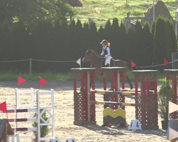 Reitturnier Fehraltorf 2020