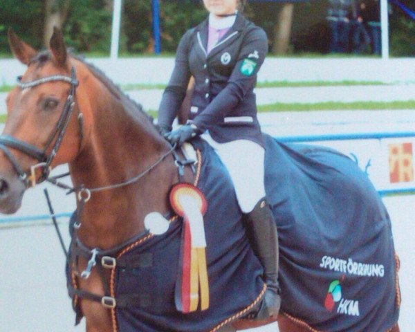 broodmare Müsli (Holsteiner, 2002, from Ramirado)