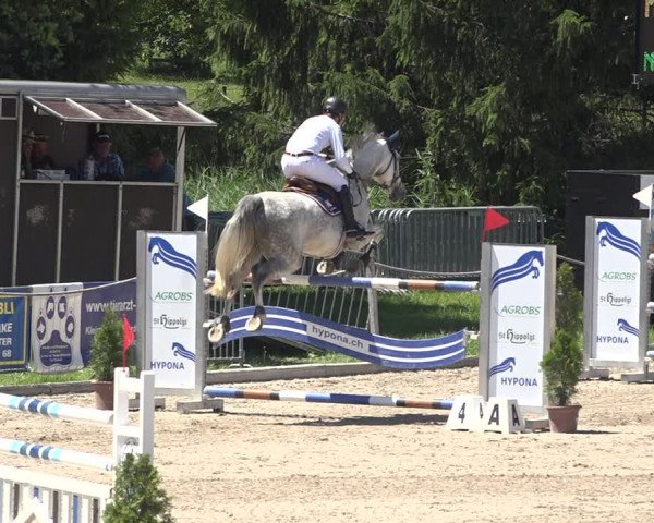 Reitturnier Fehraltorf 2020