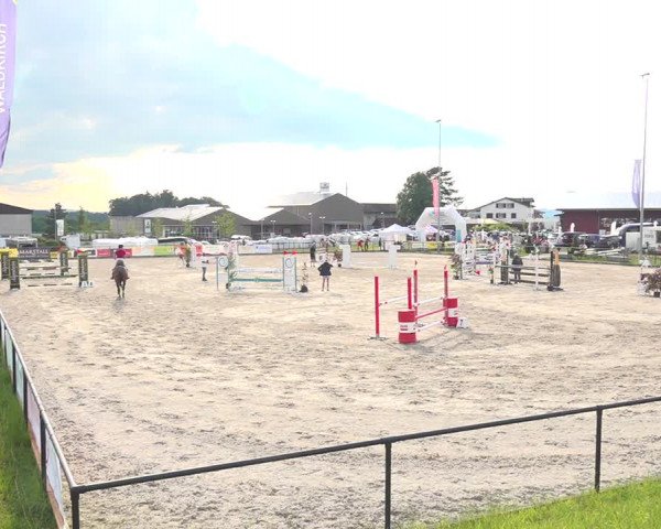 Reitturnier Gossau 2020