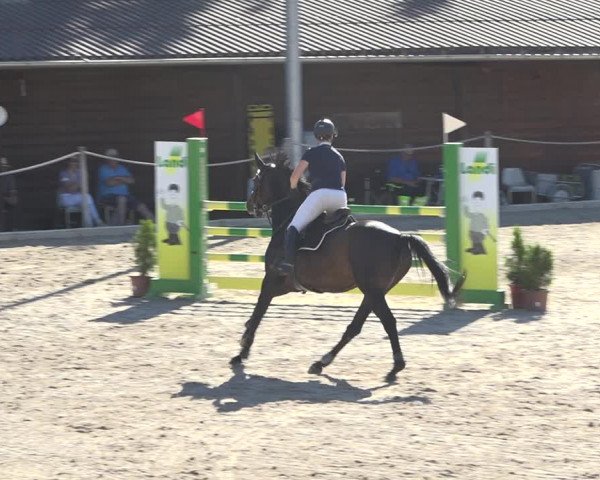 Reitturnier Fehraltorf 2020