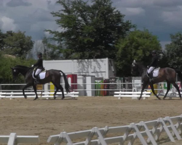 Reitturnier Pietzpuhl 2020