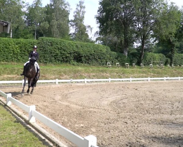 Reitturnier Halver 2020