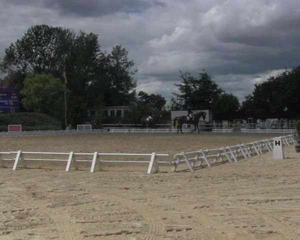 Reitturnier Pietzpuhl 2020