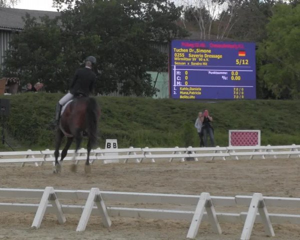Reitturnier Pietzpuhl 2020
