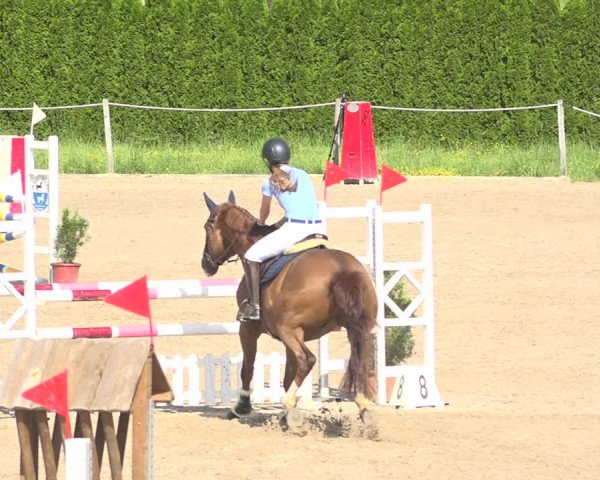 Reitturnier Fehraltorf 2020