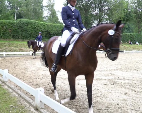 Reitturnier Halver 2020