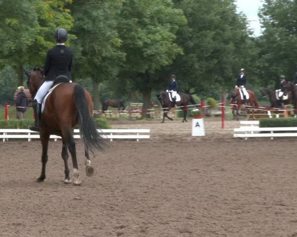 Reitturnier Hamm-Rhynern 2020