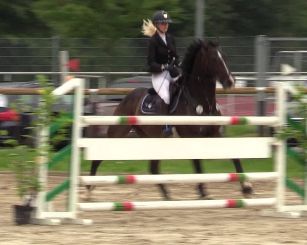 Reitturnier Halver 2020