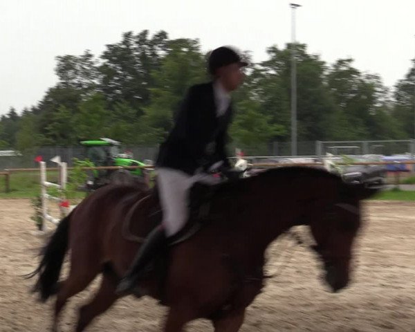 Reitturnier Halver 2020