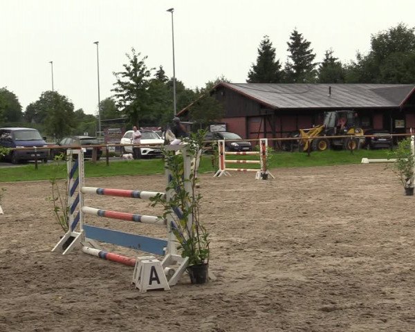 Reitturnier Halver 2020