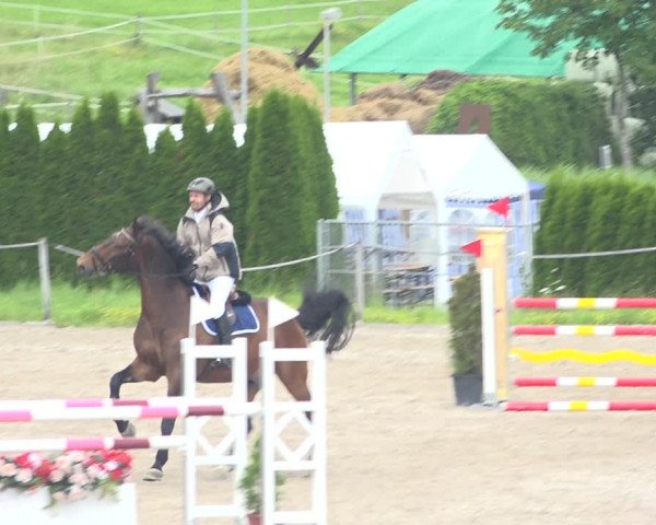 Reitturnier Fehraltorf 2020