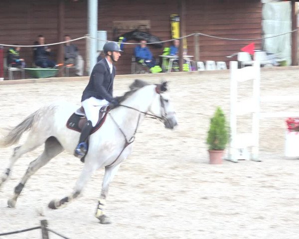 Reitturnier Fehraltorf 2020